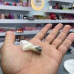 قرص ناف گیاهی